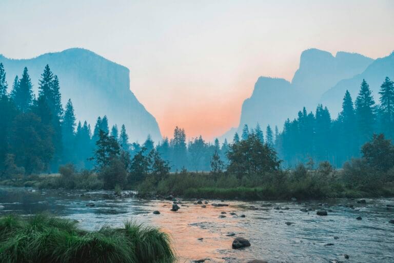 Sunlit natural landscape, evoking calm and renewal